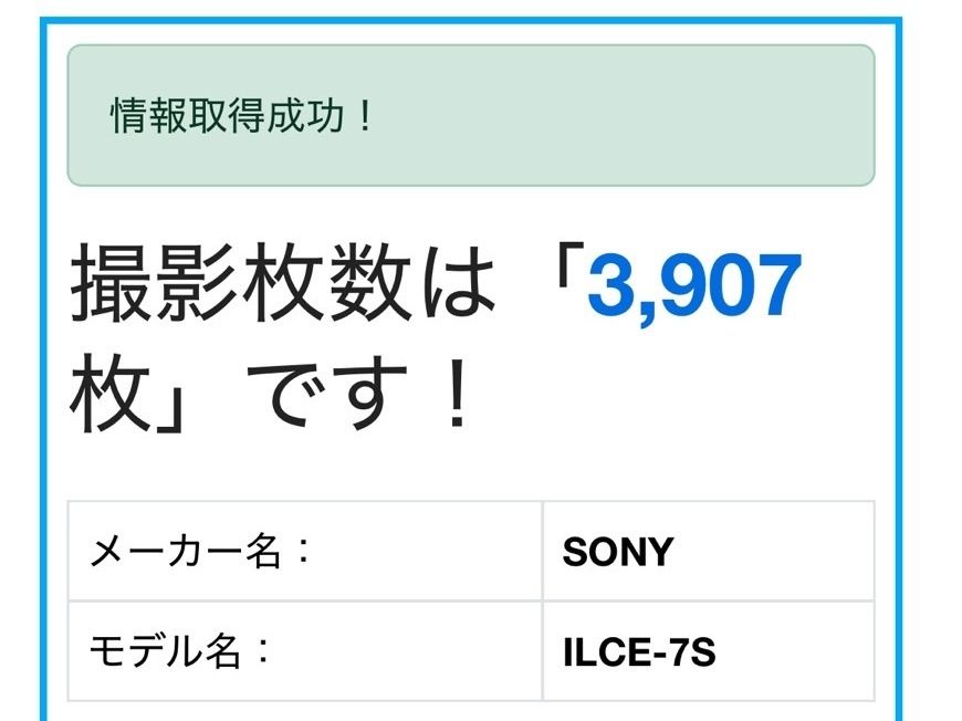 ボディ