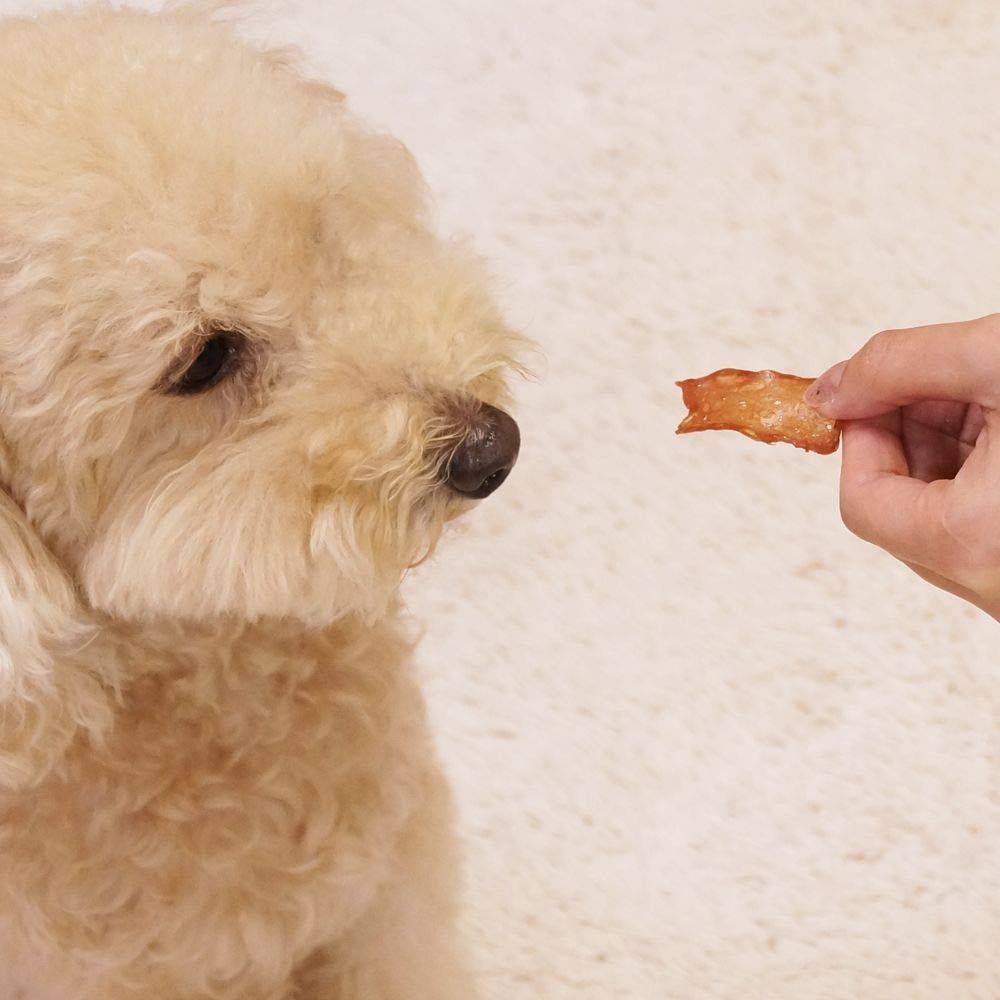  ドギーマン 無添加 ふわふわ満足砂ぎも 40 g ×24 食器 フードボール 食器 餌やり 水やり用品