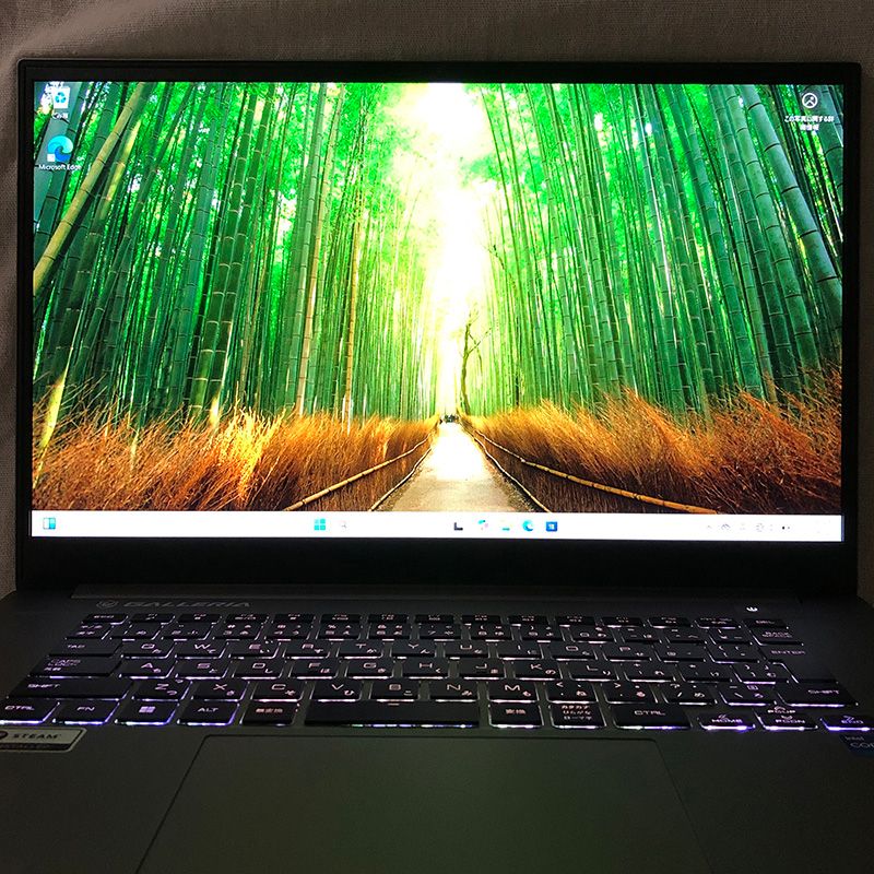 ジャンク GALLERIA UL7C-AA2 i7-12700H/Arc A730M - メルカリ