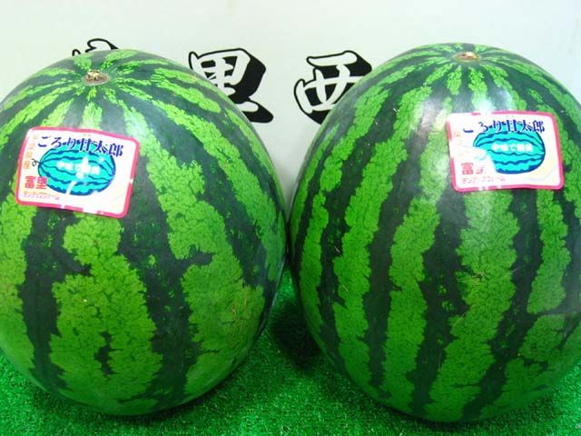 千葉産 富里すいか ごろり甘太郎 特大玉西瓜 4L2玉入り 約20kg スイカ 品ではございません