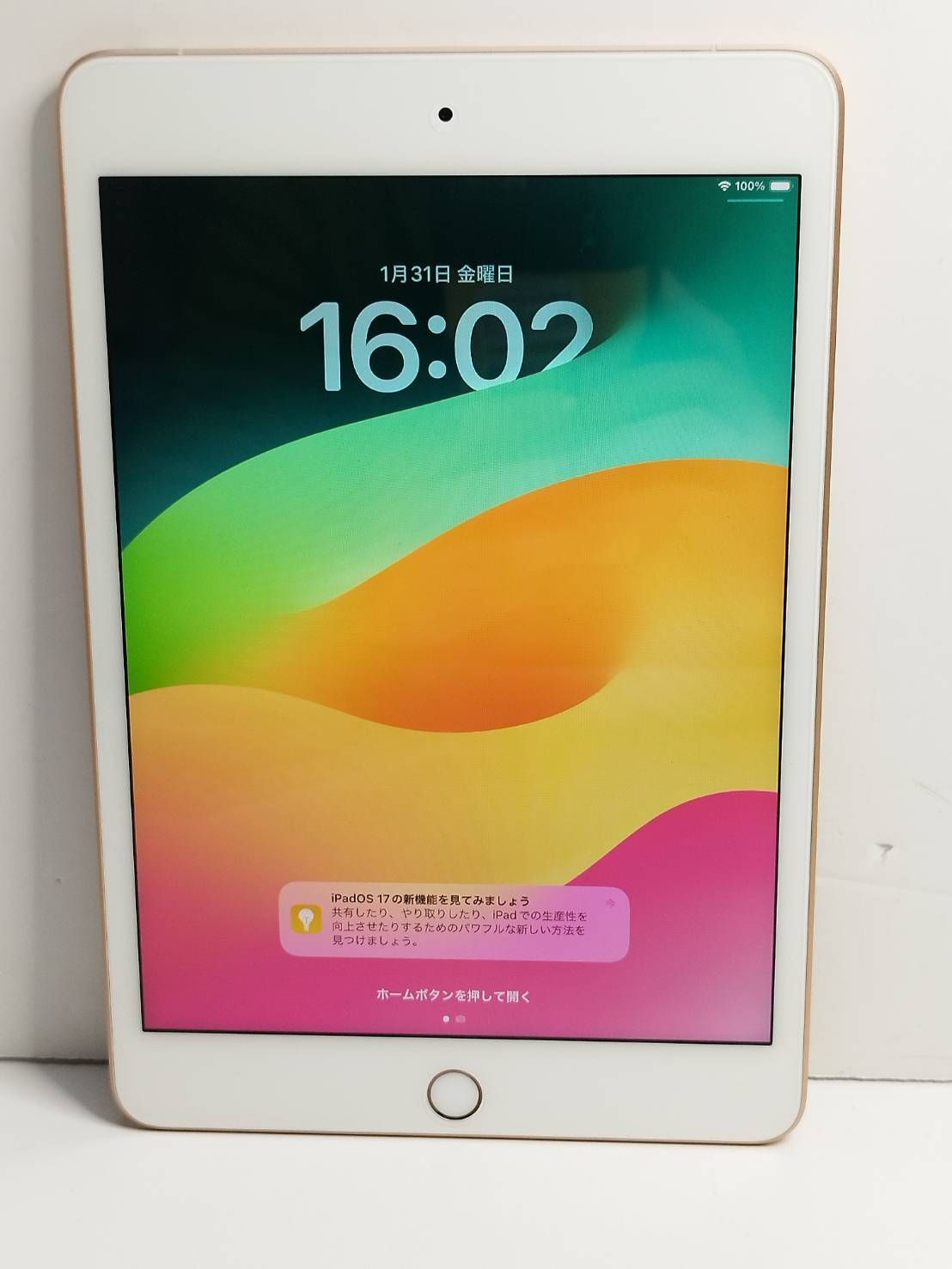 SIMロック解除済】iPad mini 第5世代 MUXE2J/A (A2124) 256GB