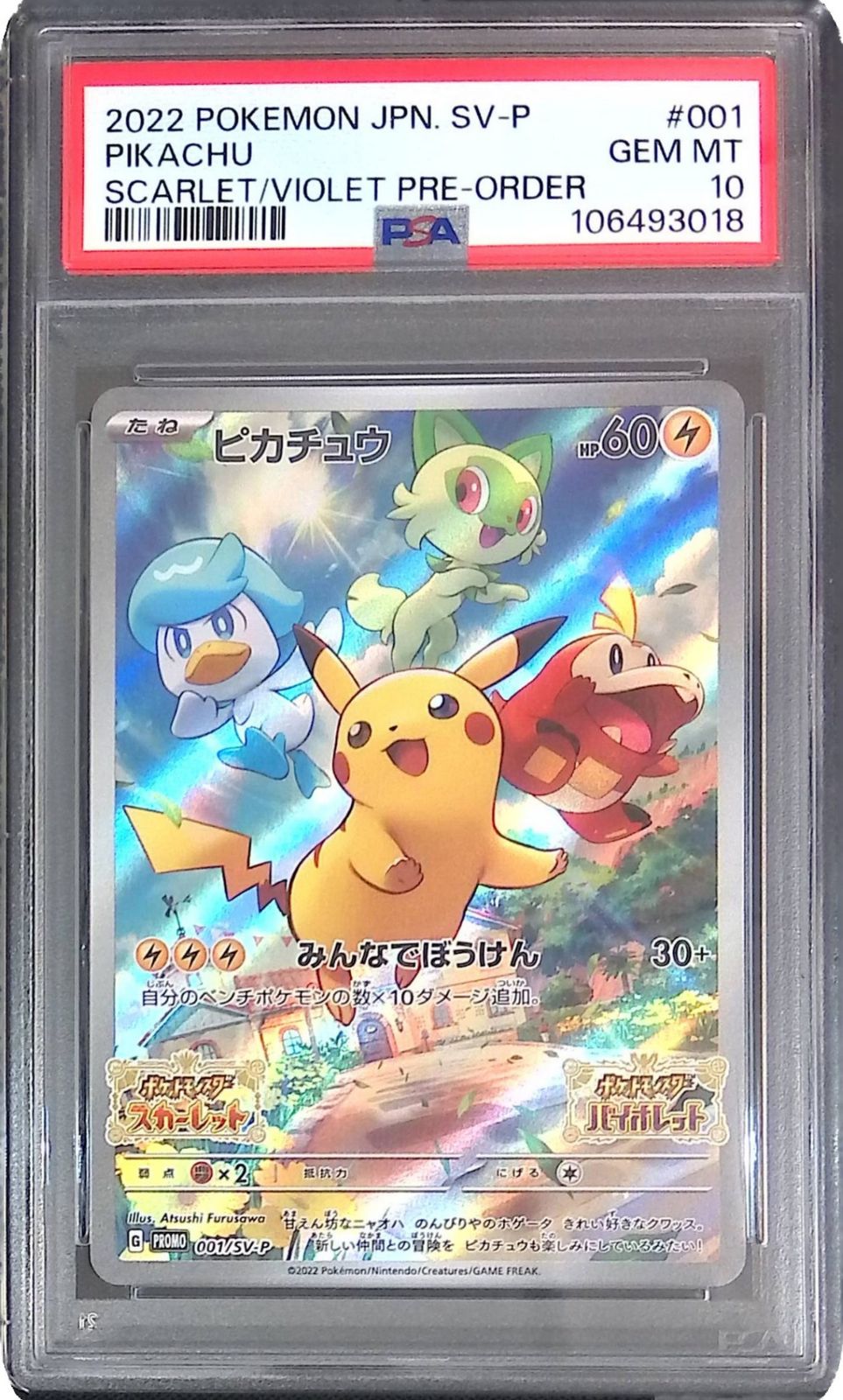 PSA10 2022 ピカチュウ SV-P 2022 ピカチュウ ホロ PSA 10 PSA 10