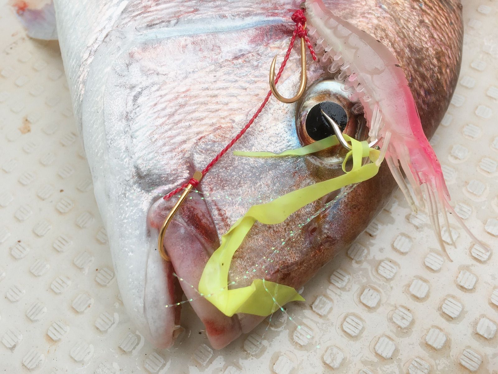 真鯛釣るなら！【シュリンプ鯛ラバ ピンク夜光3種セット】タイラバダイワがまかつ - メルカリ