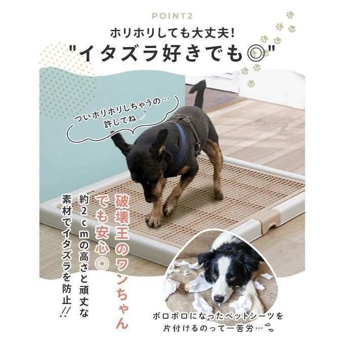 トイレトレーニング 子犬