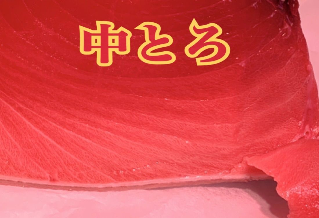 冷凍ミナミ鮪  (大とろ 中とろ 赤身) 業務用カット インドマグロ お刺身-3