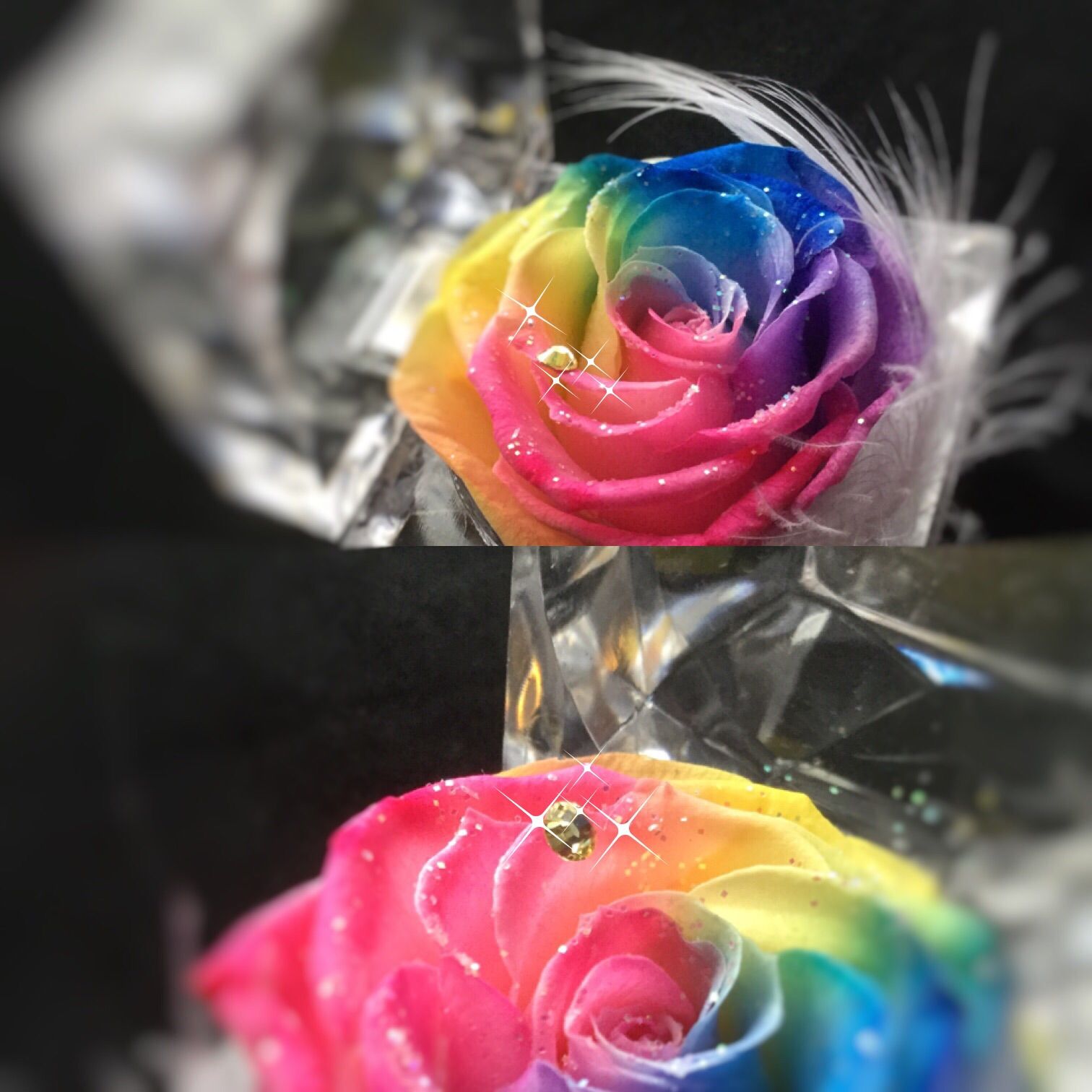 希望の花・レインボーローズプリザーブドフラワー・ミニジュエリー
