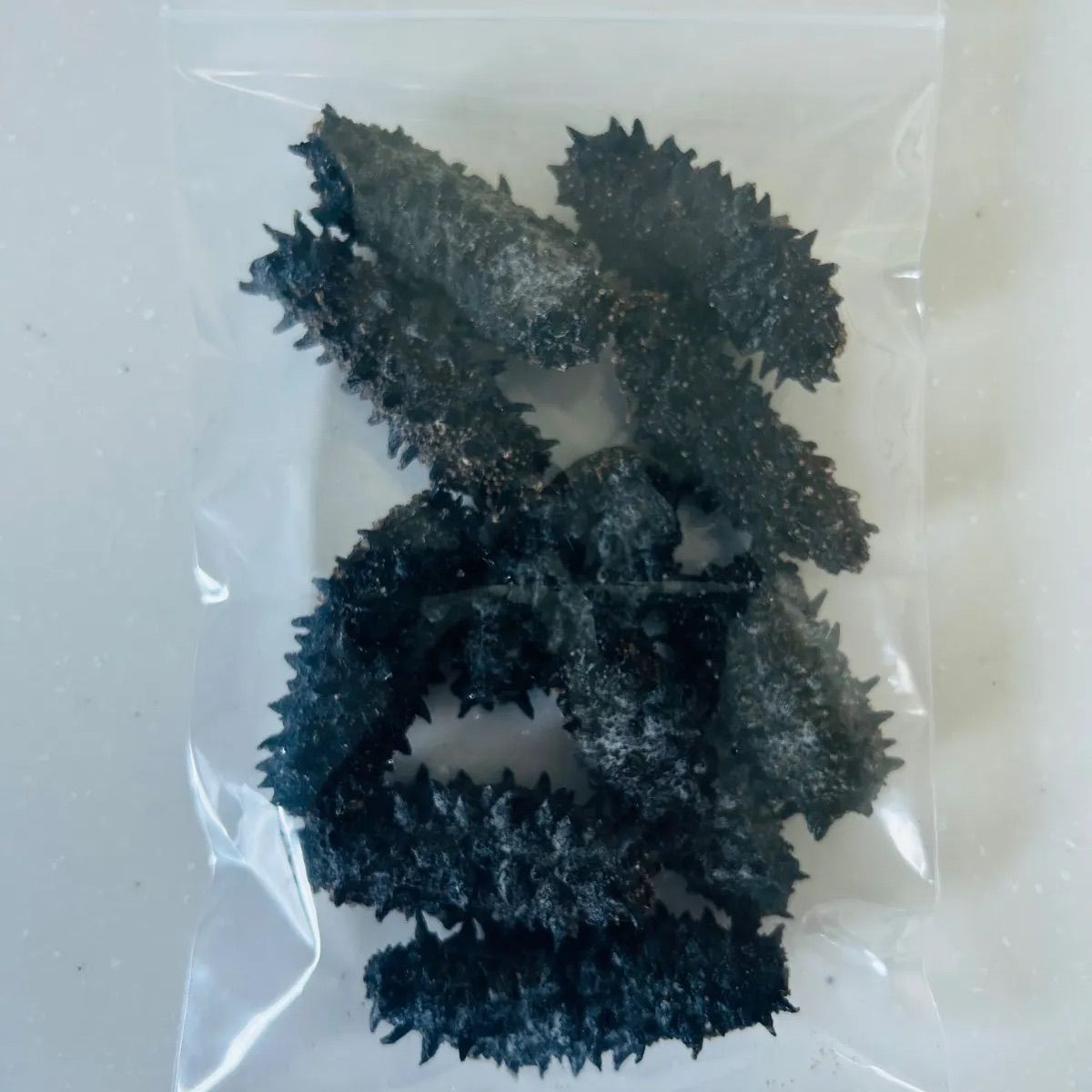 北海道産 干しナマコ（200g） 乾燥なまこ ナマコ 【公式通販】