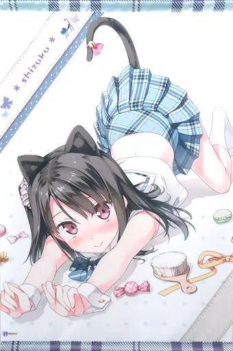 中古】タペストリー しずくだニャン!(カントク) B2タペストリー - メルカリ