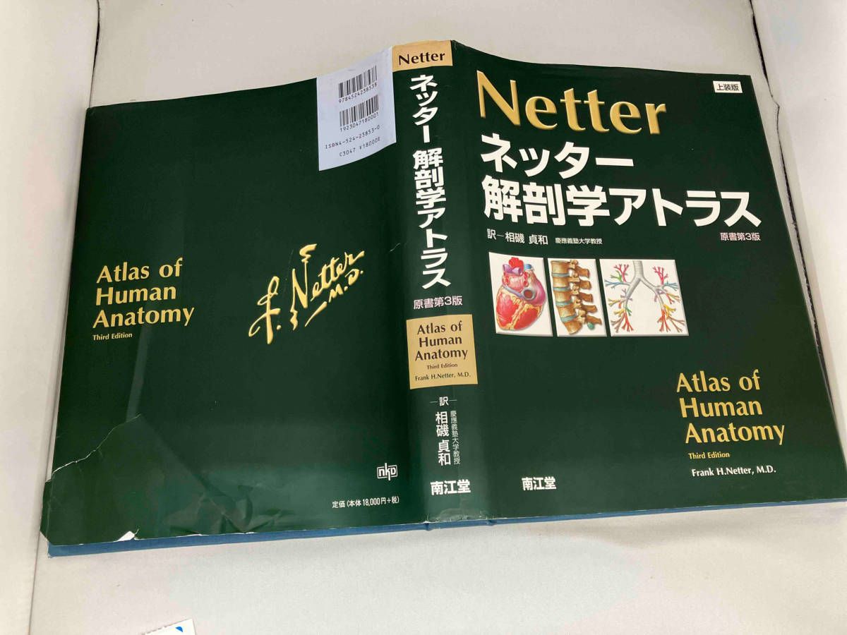 ジャンク ネッター解剖学アトラス 原書3版 上装版 相磯貞和