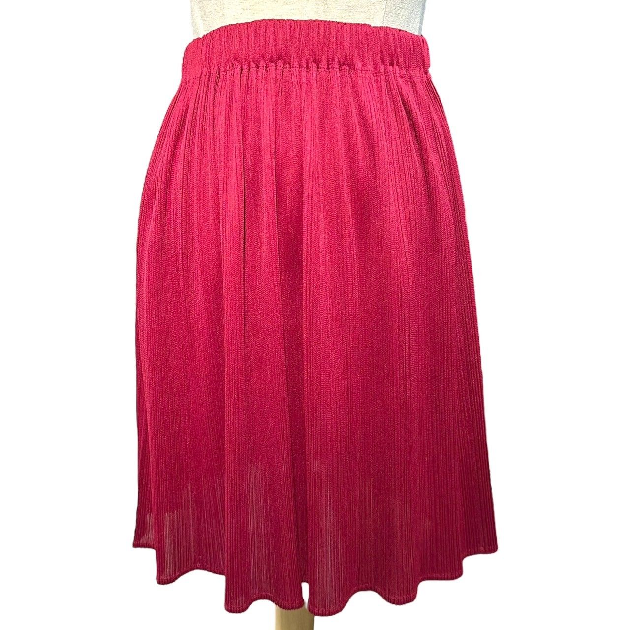 ISSEY MIYAKE(イッセイミヤケ) 03AW Pleated Mini Length Skirt