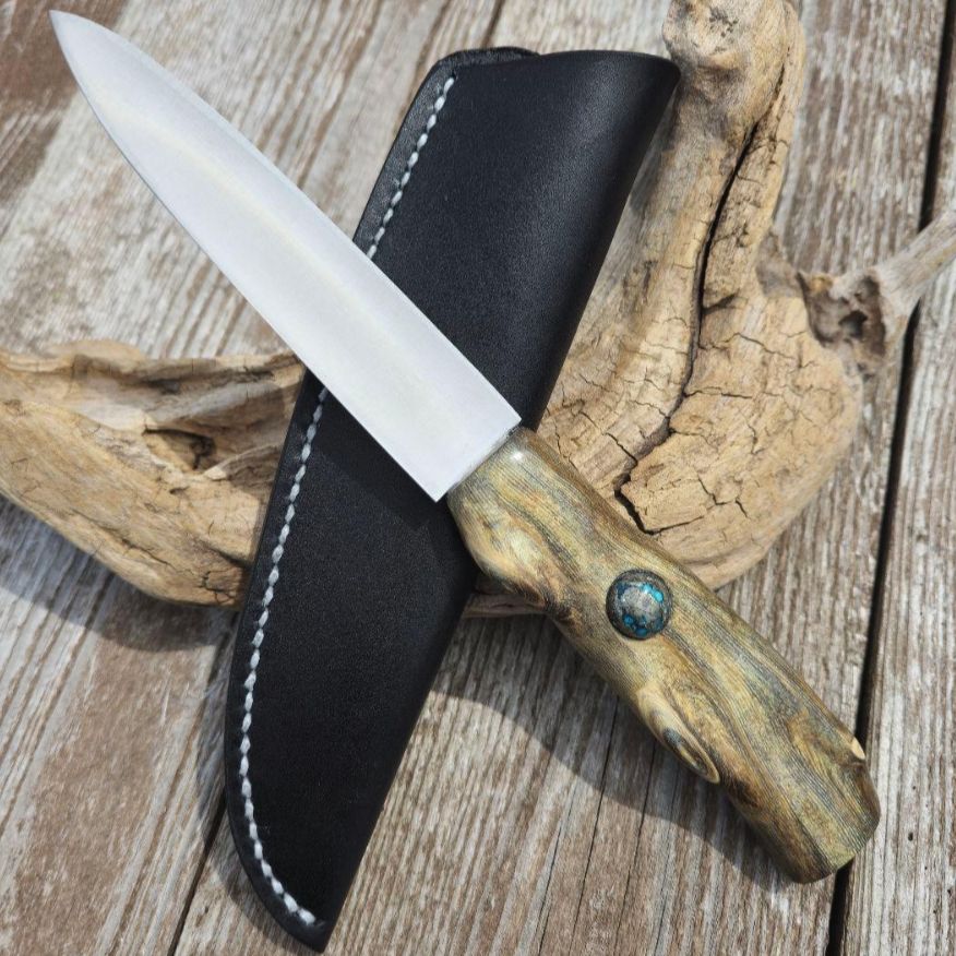 虹彩珊瑚のマキリ ペルシアンターコイズ