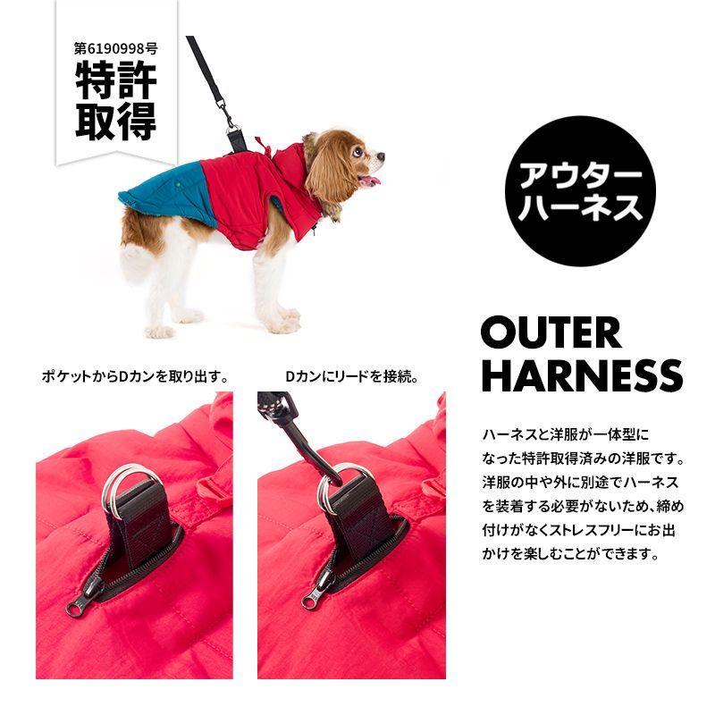 PSA10 2022 Weiss Schwarz Libeccioゴールドサイン