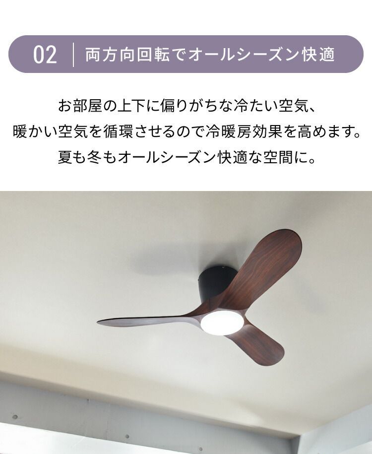 シーリングファンライト