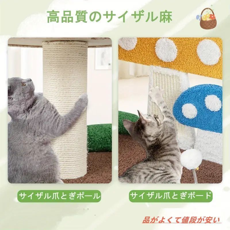 安定 安全