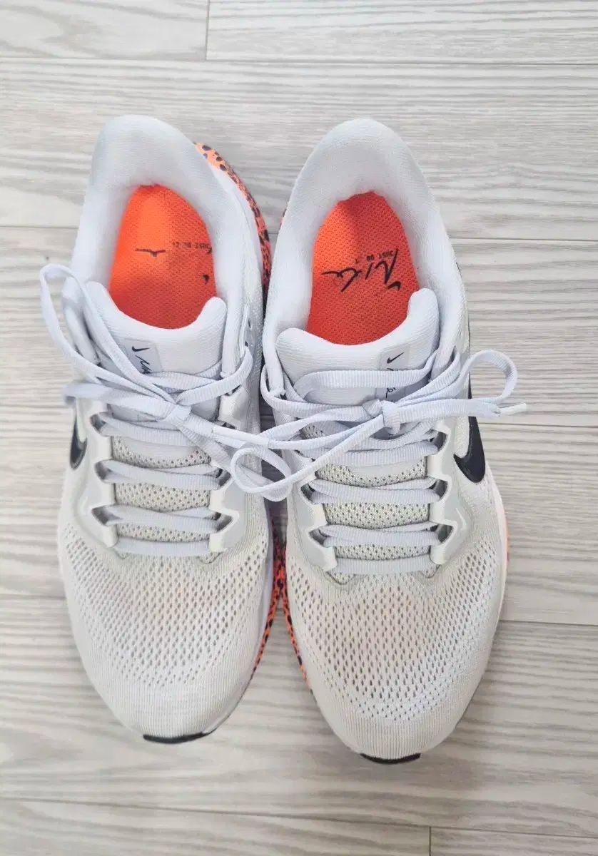 NIKE ナイキ エア ズーム ペガサス 41 240