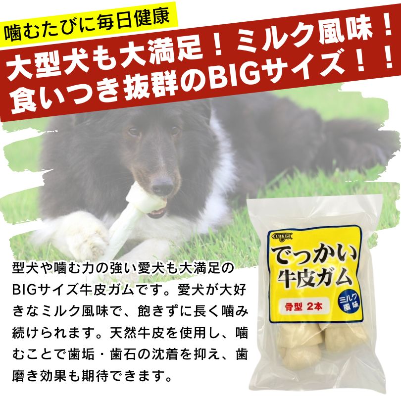 骨 ガム