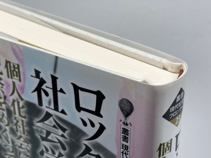 ロックフェスの社会学:個人化社会における祝祭をめぐって (叢書 現代社会のフロン 現代の祝祭をめぐる個人と共同体のパラドキシカルな関係を問う