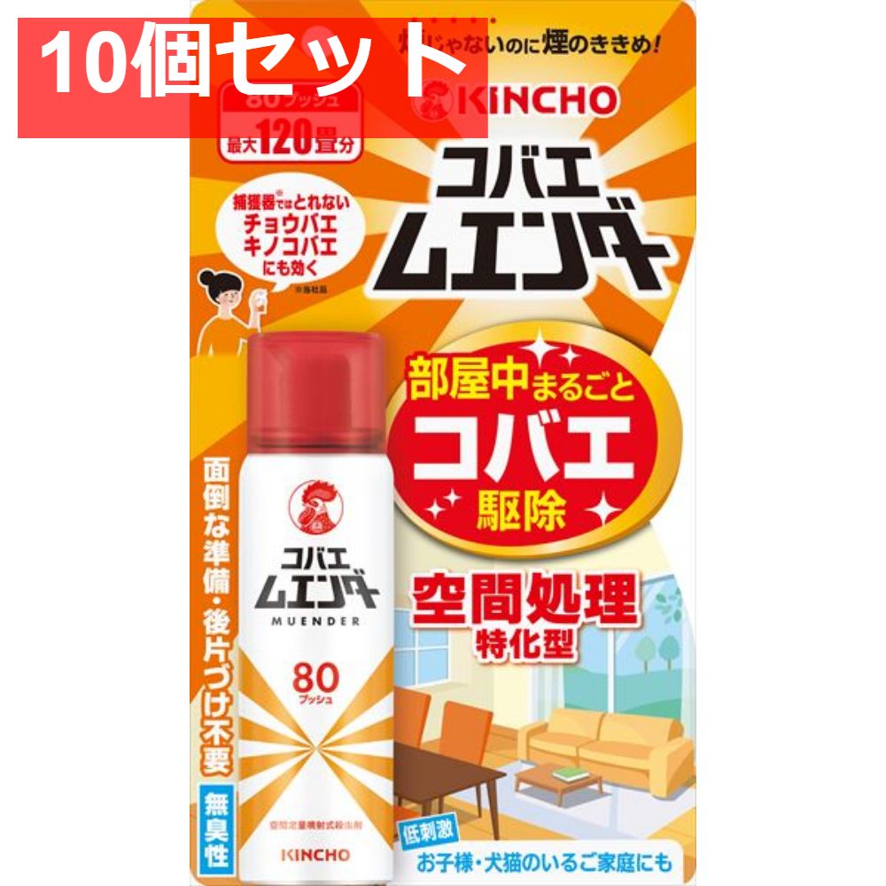 コバエムエンダー80プッシュ 10個セット
