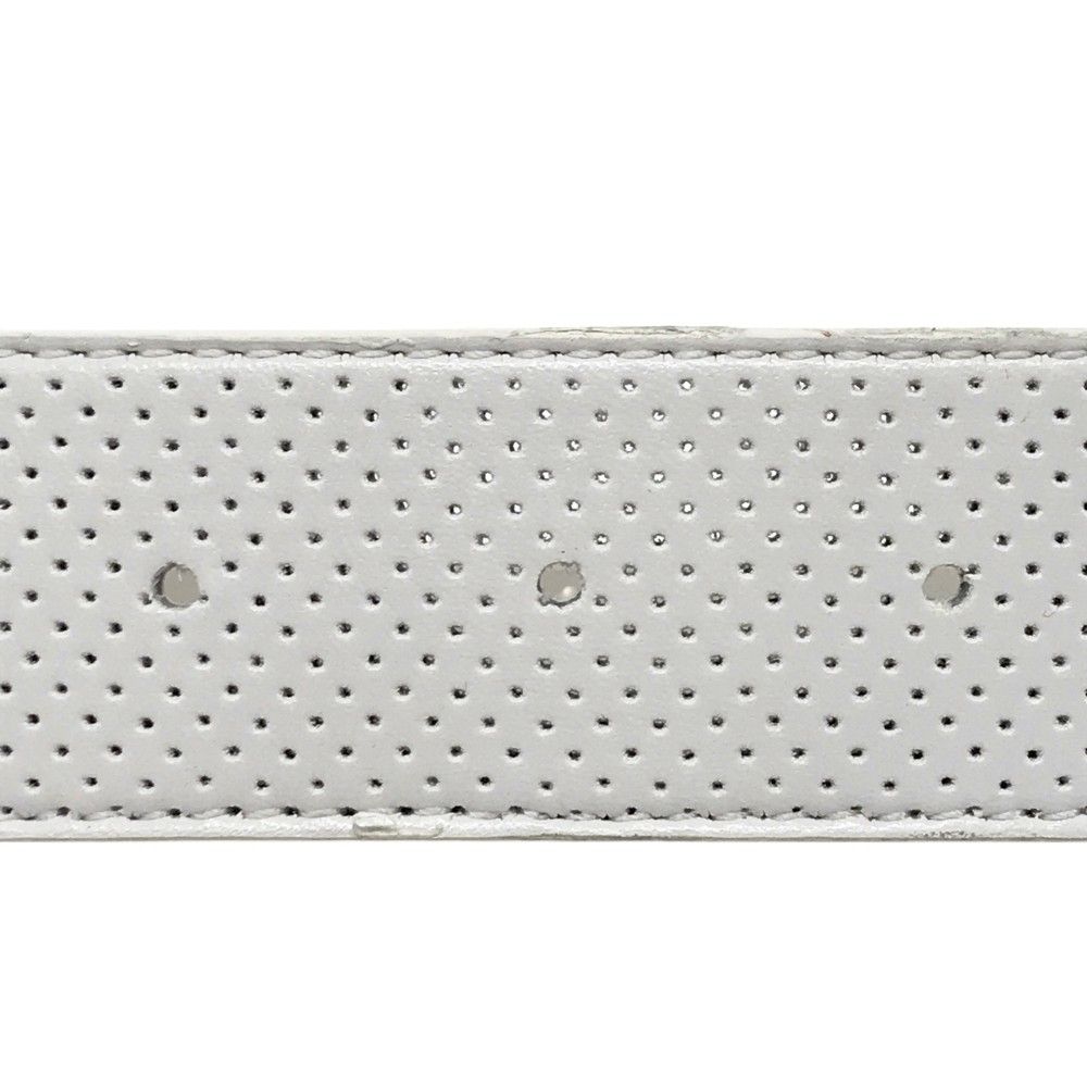 マスターバニーエディション