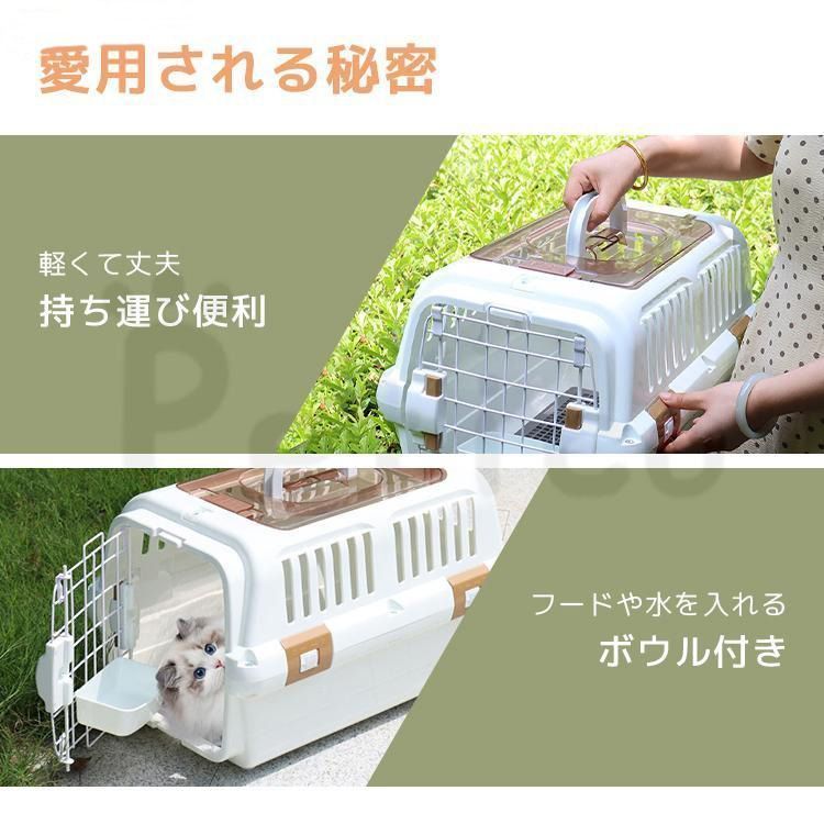 犬 猫