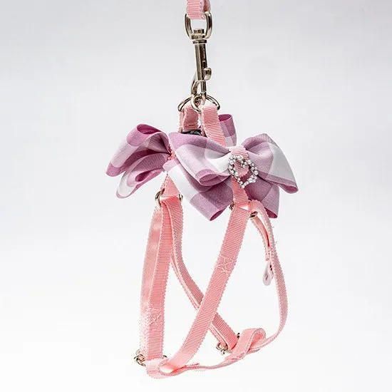 アイヌ紋様 木彫り てんとう虫の宝石箱 伝統工芸 アンティーク 民芸品