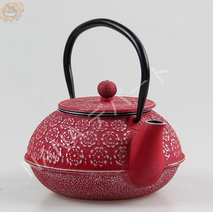 新品未使用 鉄瓶 南部鉄器 鉄瓶兼用急須 鋳物 600ml 茶こし付き