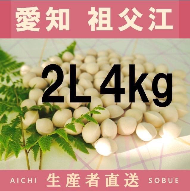 新物!! 生産者直送 久寿銀杏 愛知県 祖父江産 2L 4kg