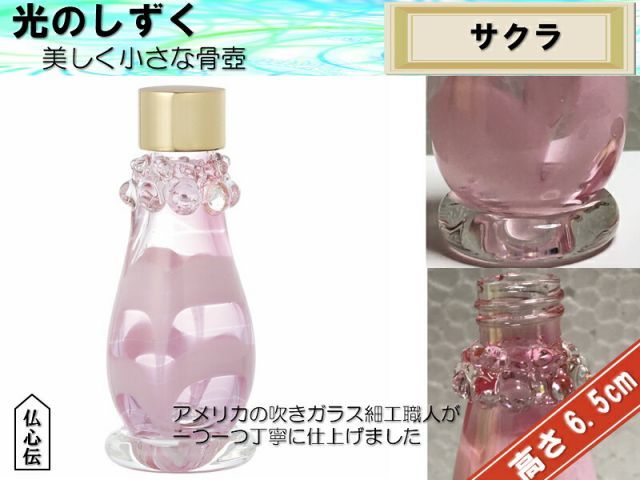 光のしずく サクラ