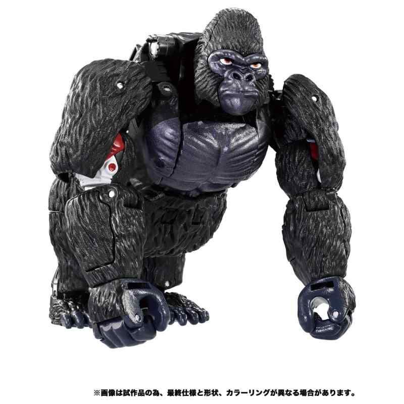 TAKARA