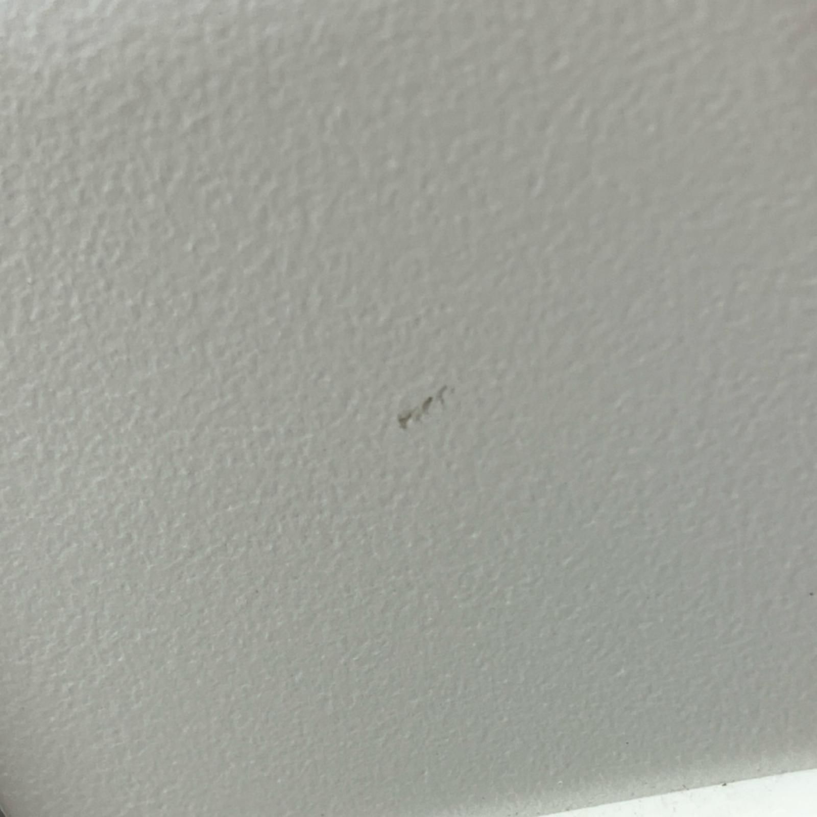 サンラメラ ニューセラミックヒーター ORH 06132953 WWW_KANDAIZUMI_COM