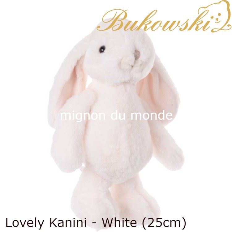 かわいいうさぎのぬいぐるみ Bukowski lovely kanini - メルカリ