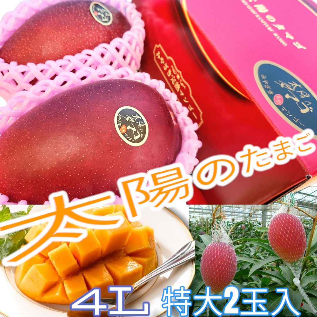 絶品 青秀 太陽のたまご 宮崎完熟マンゴー 4L大玉 二個 ギフト 御中元 御供
