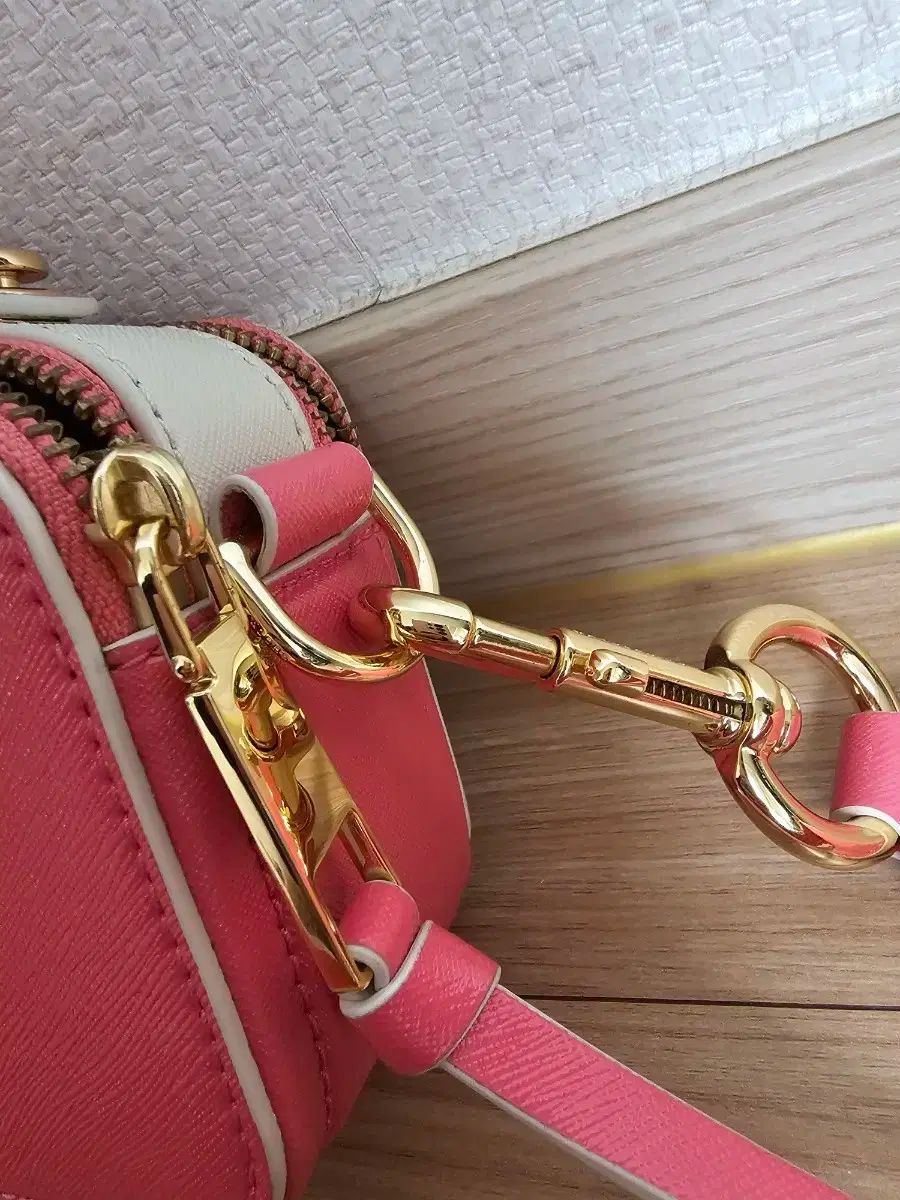 スナップショット ピンクグレープフルーツ