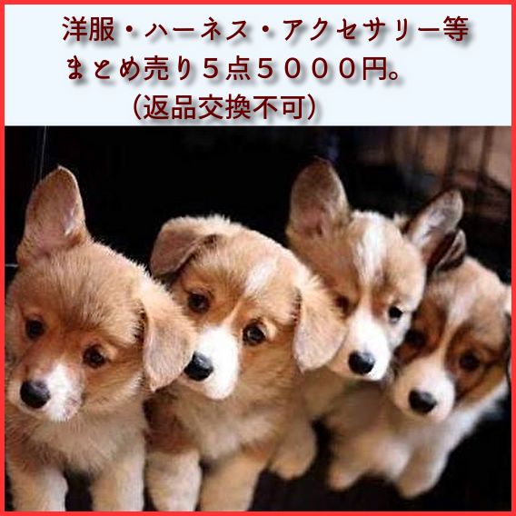 福袋 まとめ売り 犬服 ペット服 アクセサリー ハーネス リード セット