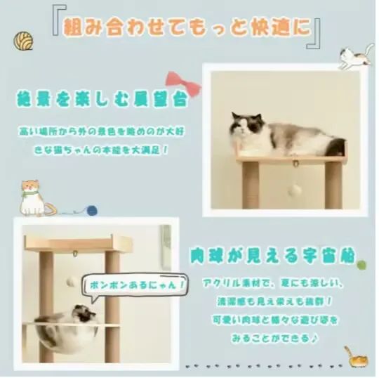 ハンモック