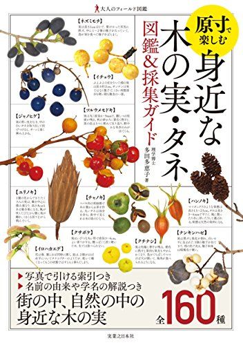 大人のフィールド図鑑 原寸で楽しむ 身近な木の実・タネ 図鑑u0026採集ガイド／多田多恵子