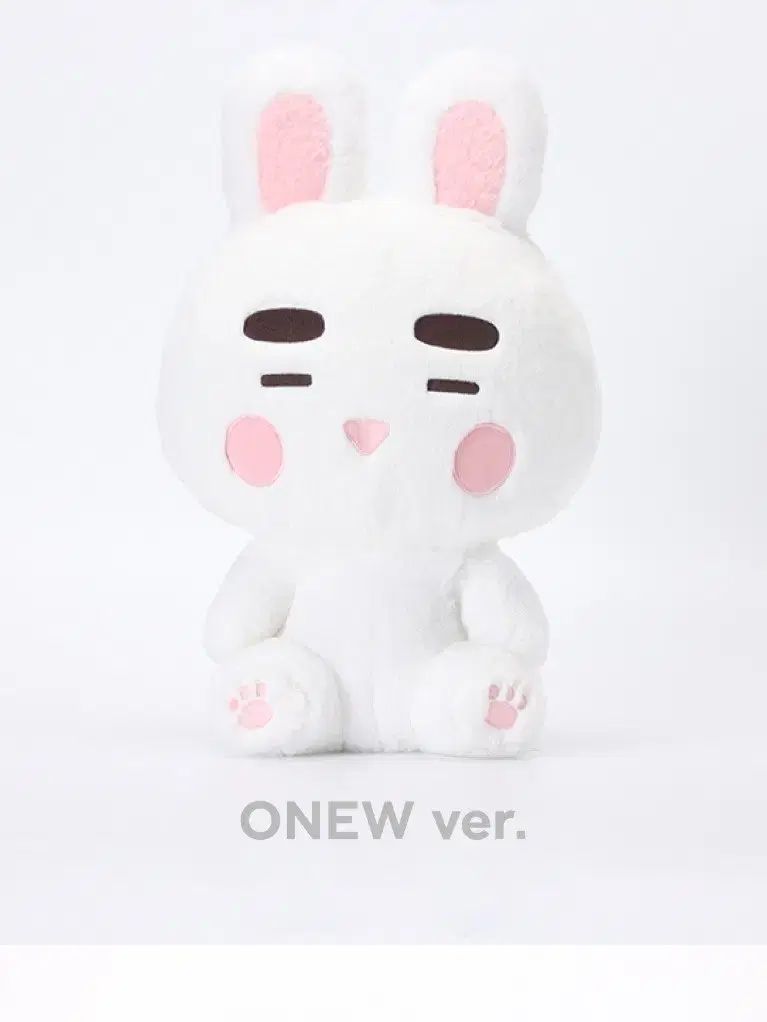 最高の品質 SHINee 40cm ぬいぐるみ オニュ アイドル