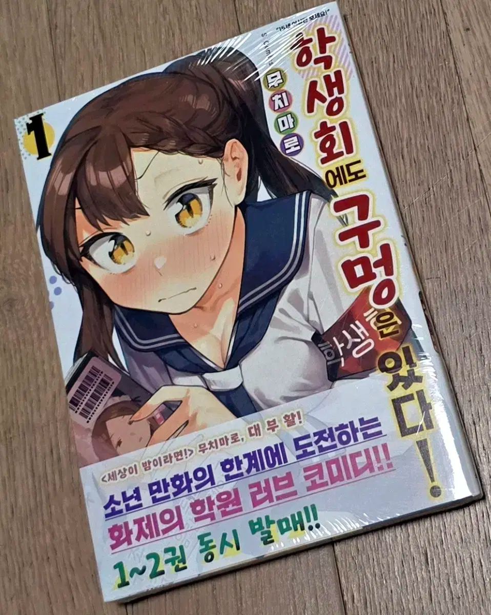 初版 生徒会でも 1 2 3 巻