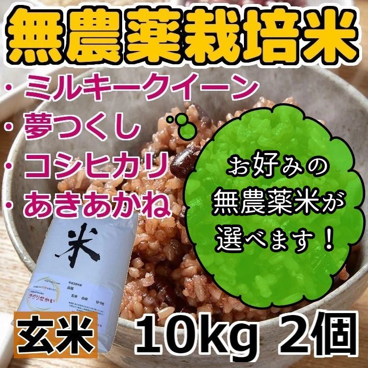 令和3年産 新米 無農薬栽培米 玄米 20kg ※北海道・沖縄・離島購入不可