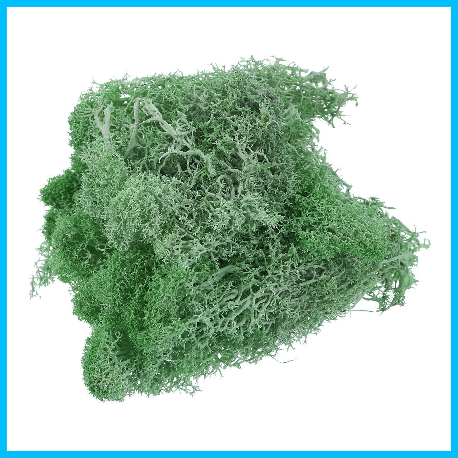 1.8オンス フェイクモス PATIKIL プリザーブドトナカイモス 人工苔地衣センターピース装飾 フェイクモス 鉢植え クリスマス クラフト用 エメラルド緑