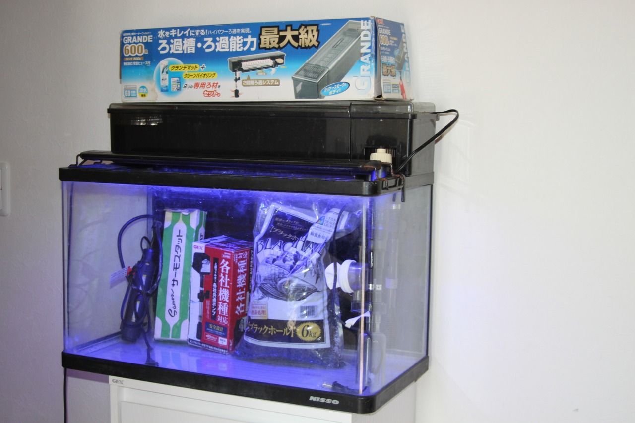 水槽セット　引退品 Amazon | 【在庫限り/メーカー終売】ジェックス メダカ元気
