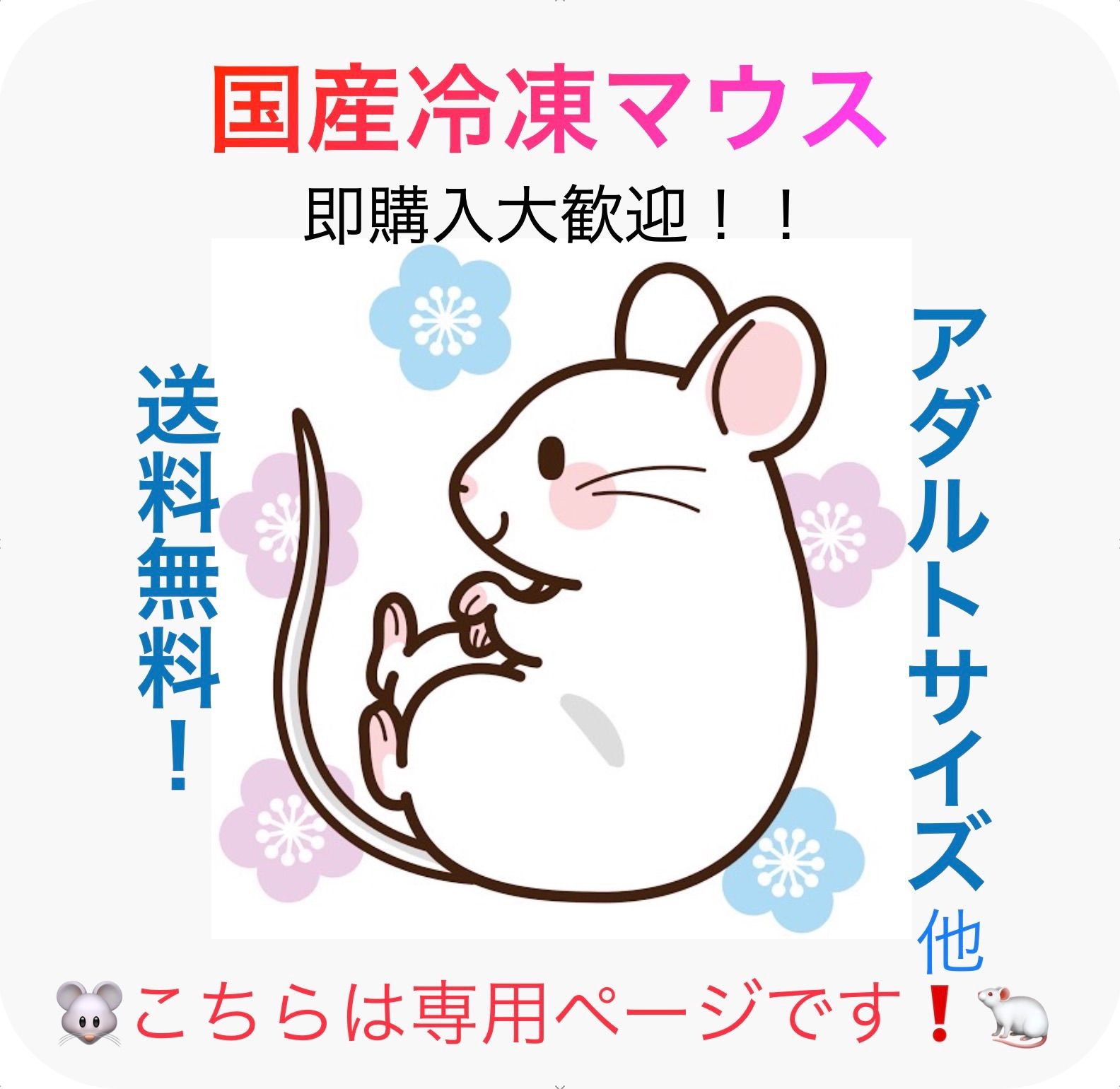 ぴぽ様専用冷凍マウス - メルカリ