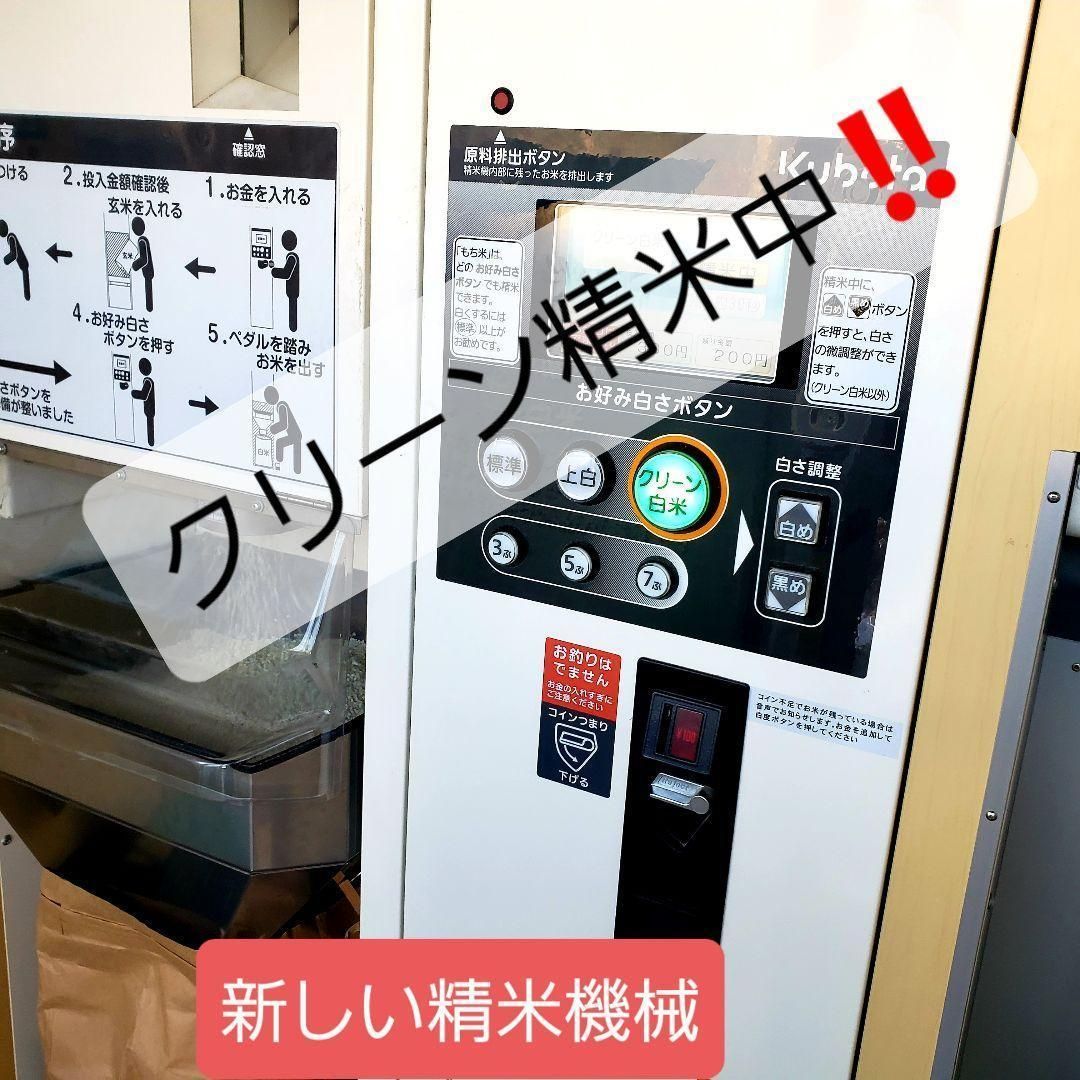 令和6年産棚田で育った特Aさがびより20キロ 令和6年産棚田で育った特Aさがびより20キロ