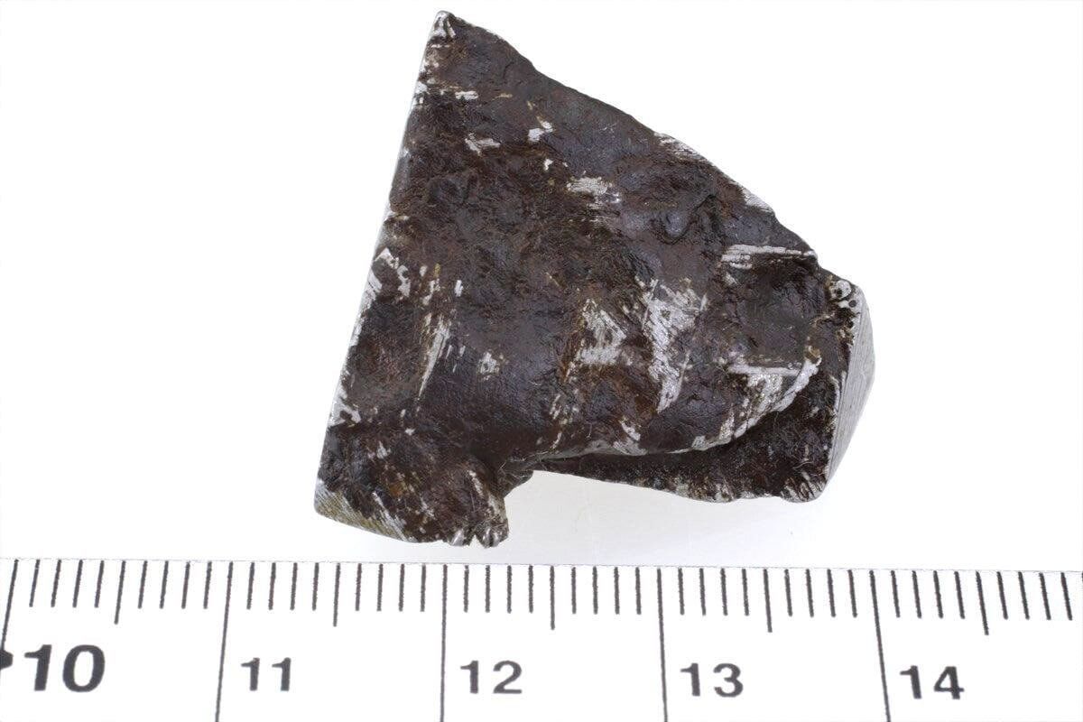 ムオニナルスタ ムオニオナルスタ 20g スライス カット 標本 隕石