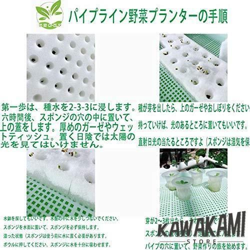 水耕栽培キット
