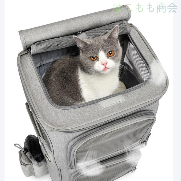 マット付き ペット