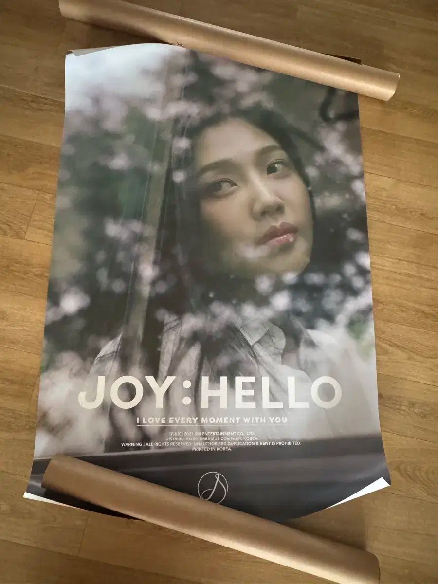 Red Velvet Joy ジョイ Hello ポスター付 新品未開封 3種 JOY (RED
