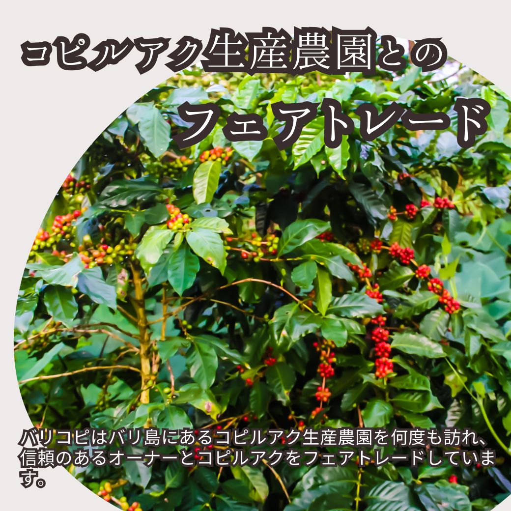 インドネシア