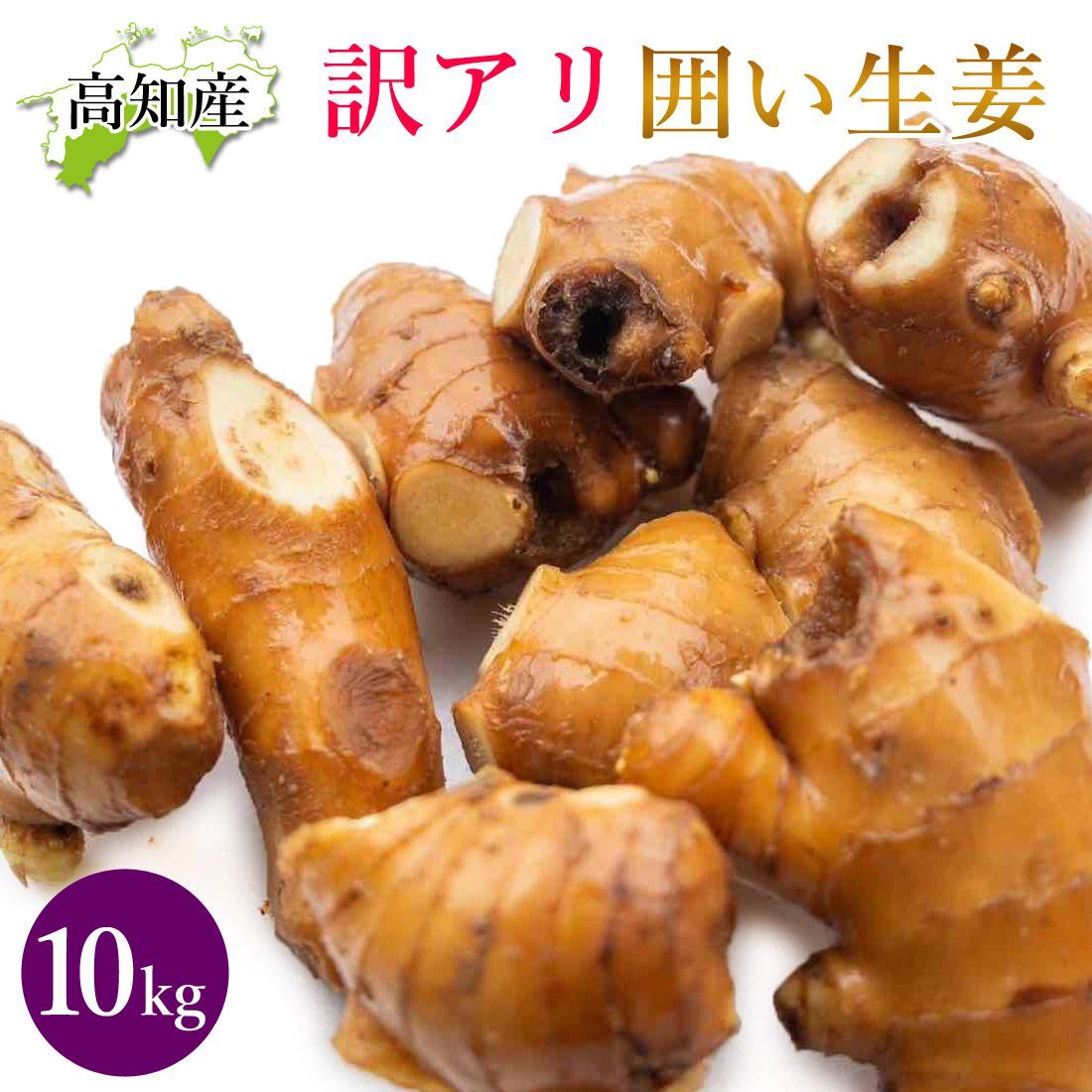 山北産直 生姜 10kg 高知県産 国産 しょうが 農家直送 高知産 ショウガ 10キロ B品 自宅用 業務用 囲い生姜 薬味 ヤマト発送