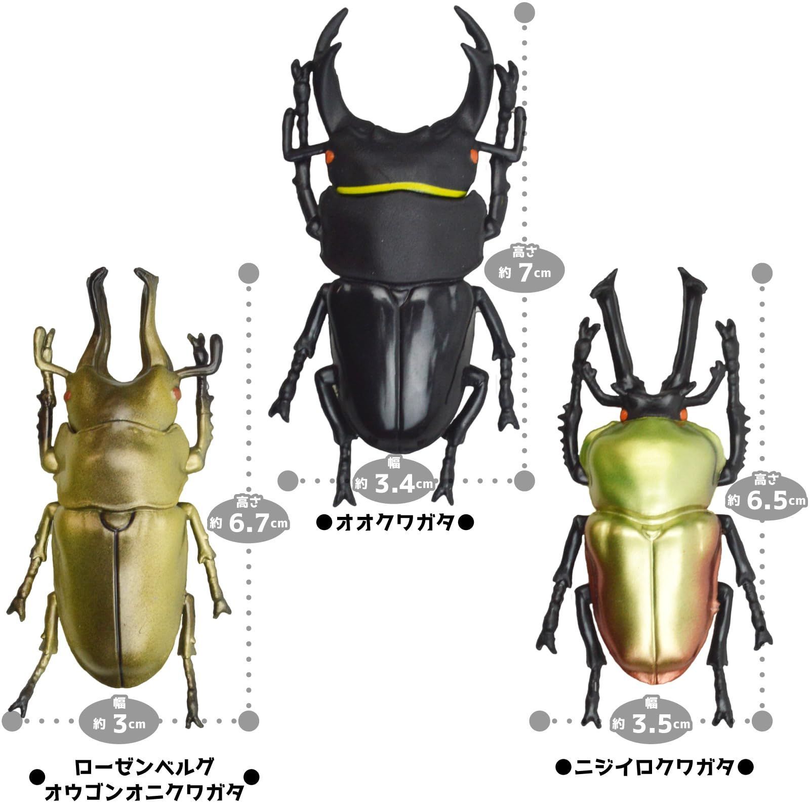 動物 立体図鑑 昆虫 クワガタ フィギュア おもちゃ ザ・アクセス